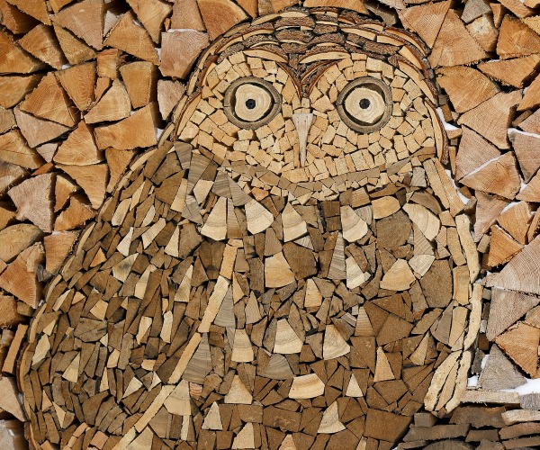 54ebf0c8b0027_-_wood-owl-600
