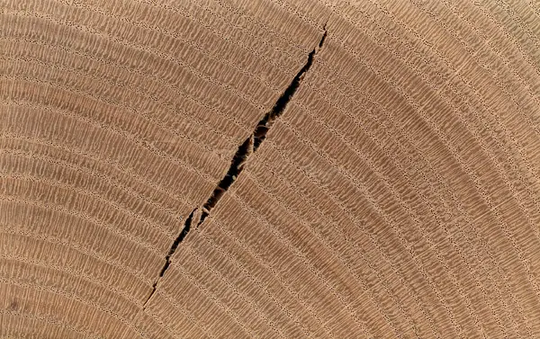 natural drying of wood