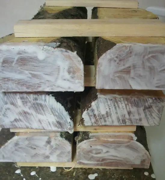 natural drying of wood