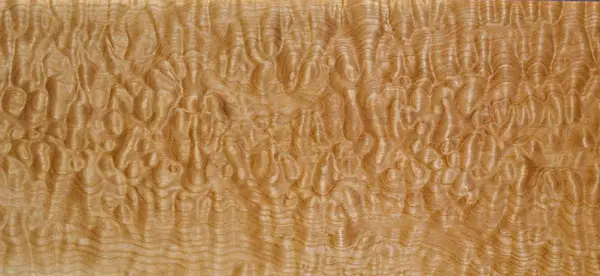 lemnul de paltin