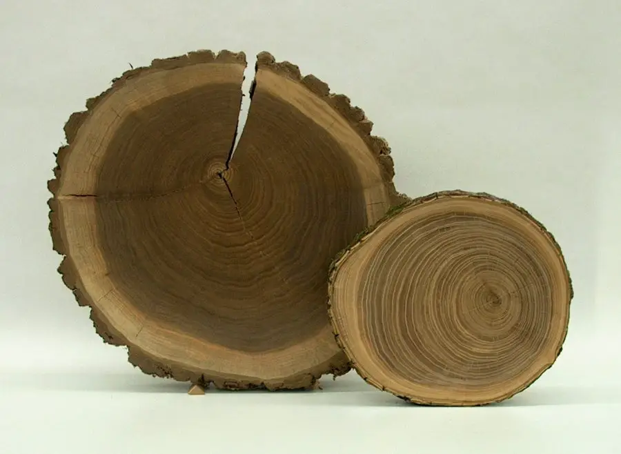 lemnul de nuc