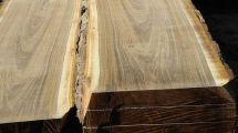 lemnul de salcâm