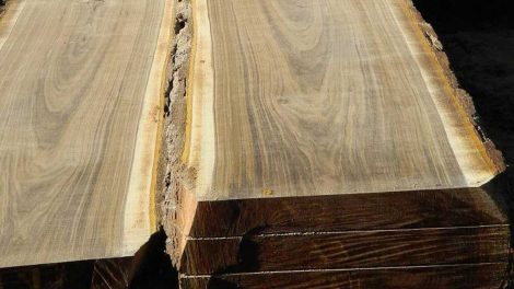 legno di acacia