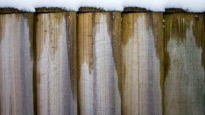 Holzveredelung im Winter