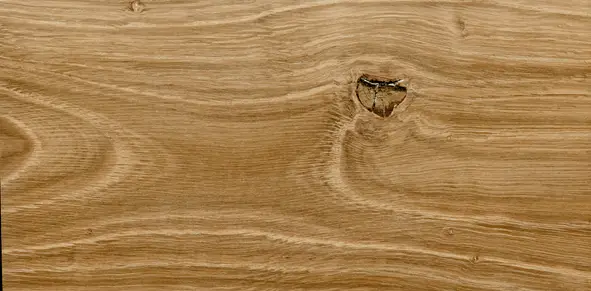 lemnul de stejar