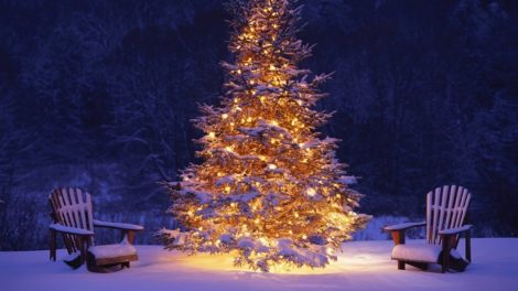 la historia del árbol de Navidad
