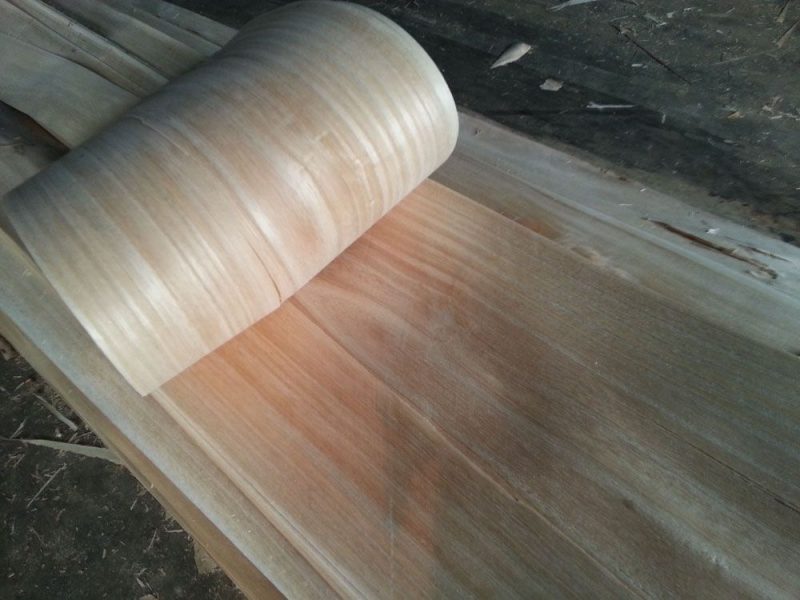 lemn de paulownia