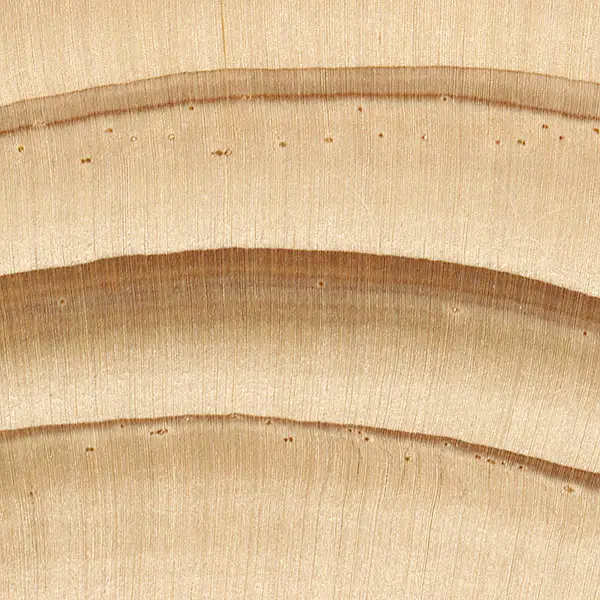 comparație între lemnul de brad și cel de molid