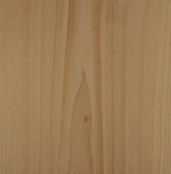comparație între lemnul de brad și cel de molid
