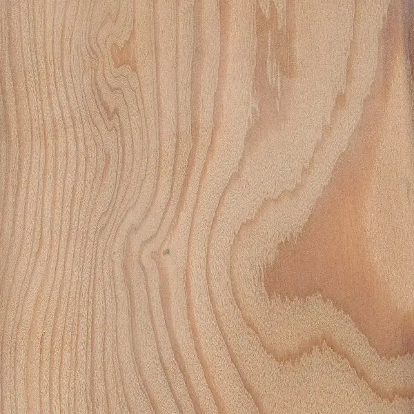 lemnul de larice