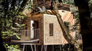 cabane dans les arbres