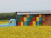 wooden beehives