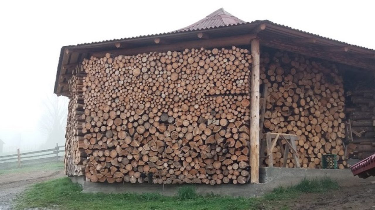 fatso lemn de ardere a lemnului