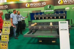 CNC-uri Wood IQ