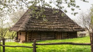 maisons traditionnelles en bois