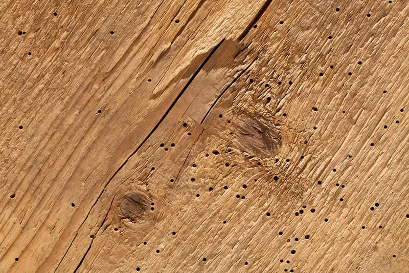 solutii anticari lemn