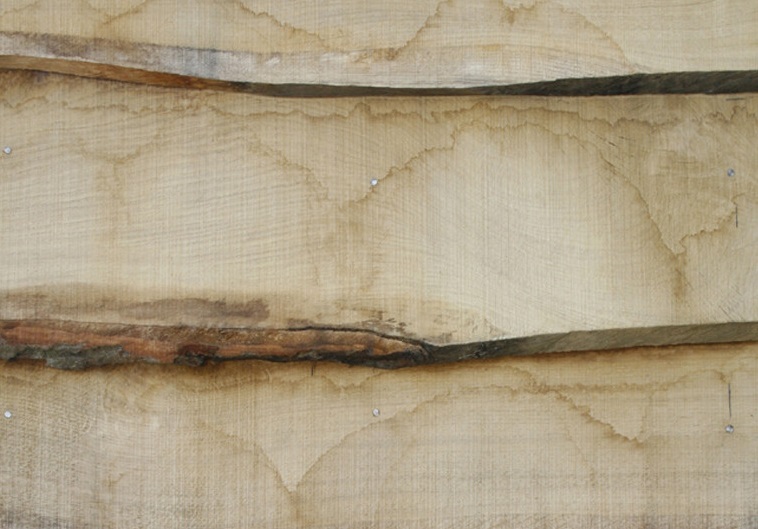 lemn taninos