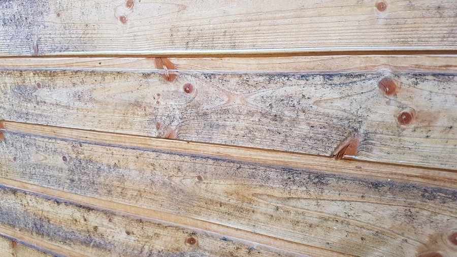solutie mucegai si lemn innegrit bochemit deposib