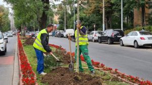 campanie plantare sector 6