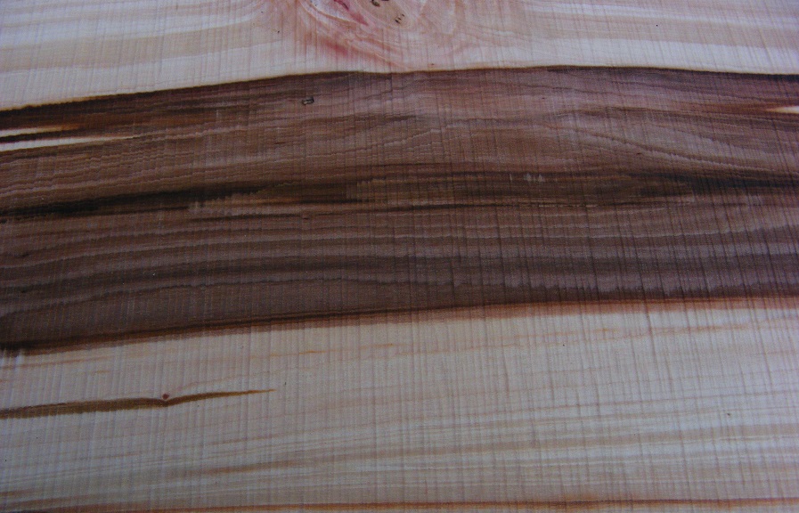 lemn de sorb