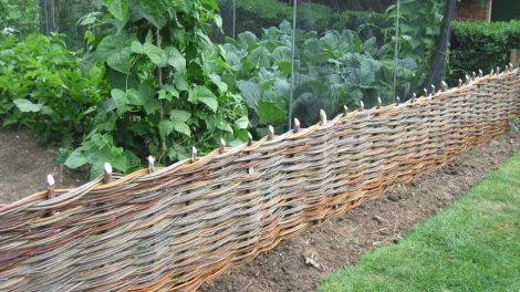 hazel fence