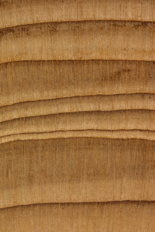 lemn de tisă