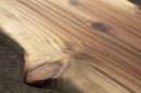 defecte de creștere ale lemnului