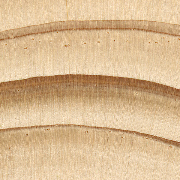 lemn de molid