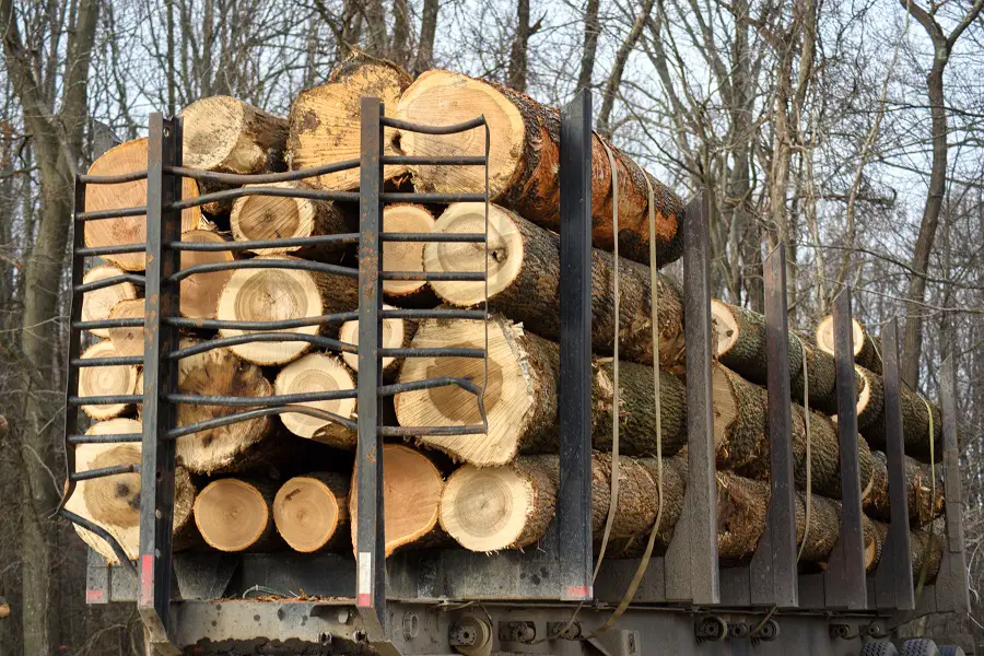 soluții împotriva crăpării lemnului