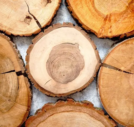 Cum să eviți crăparea rondelelor de lemn