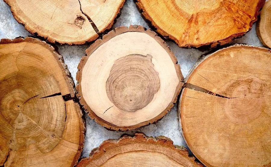 Wie man Risse in Holzfurnieren vermeiden kann