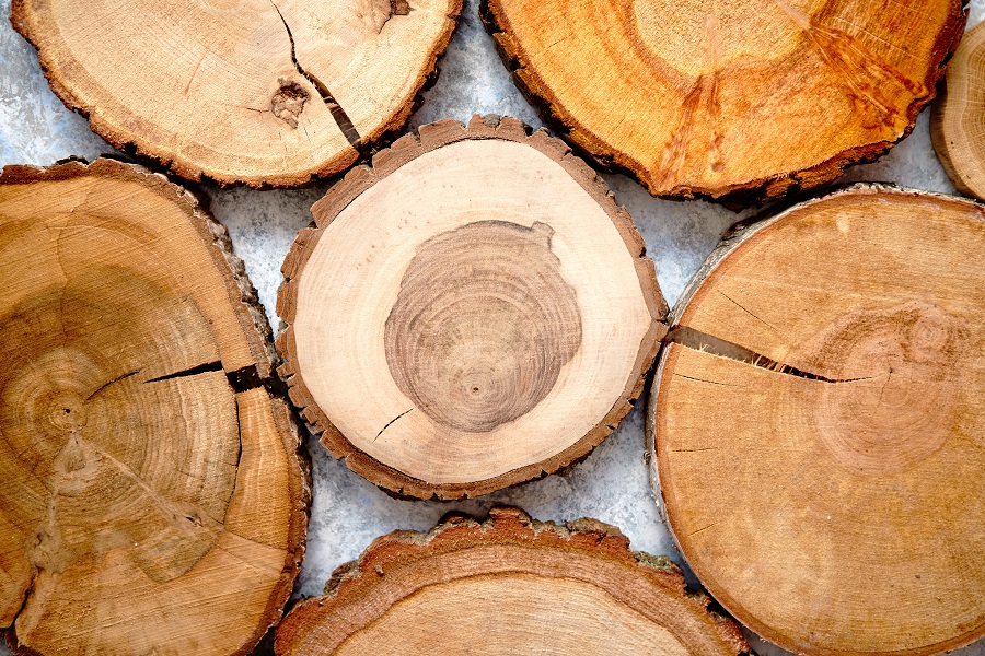 Cum să eviți crăparea rondelelor de lemn