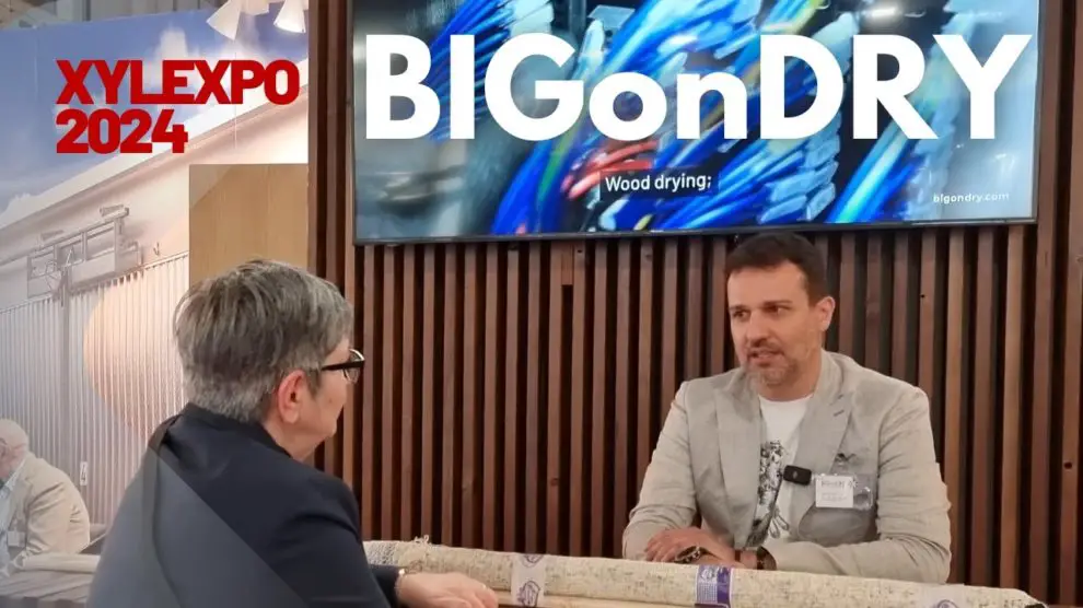 Interviu cu Michele Bigon